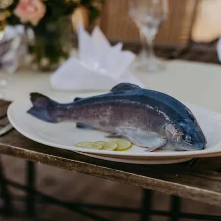 ホテル Zur Alten Muehle ノイエンビュルク