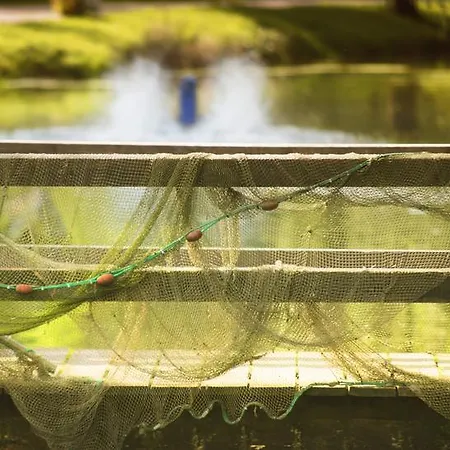 Zur Alten Muehle ホテル