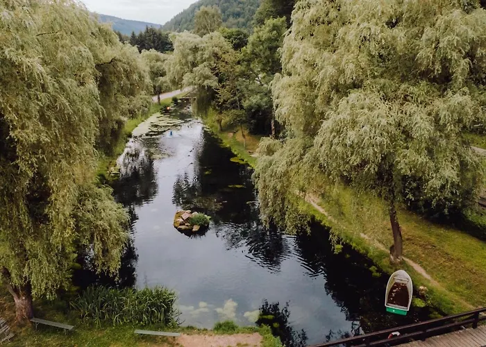 Zur Alten Muehle Neuenburg (Enz)