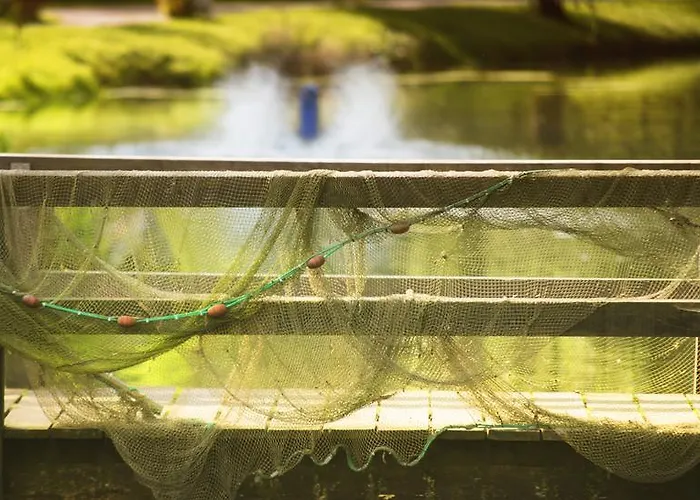 Zur Alten Muehle Hotel