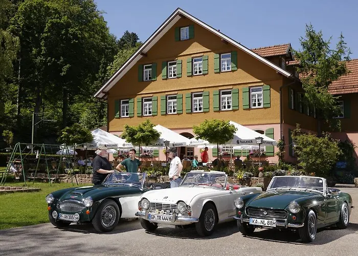 Zur Alten Muehle 4* Neuenburg (Enz)