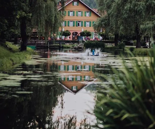 Zur Alten Muehle Hotel Neuenburg (Enz)