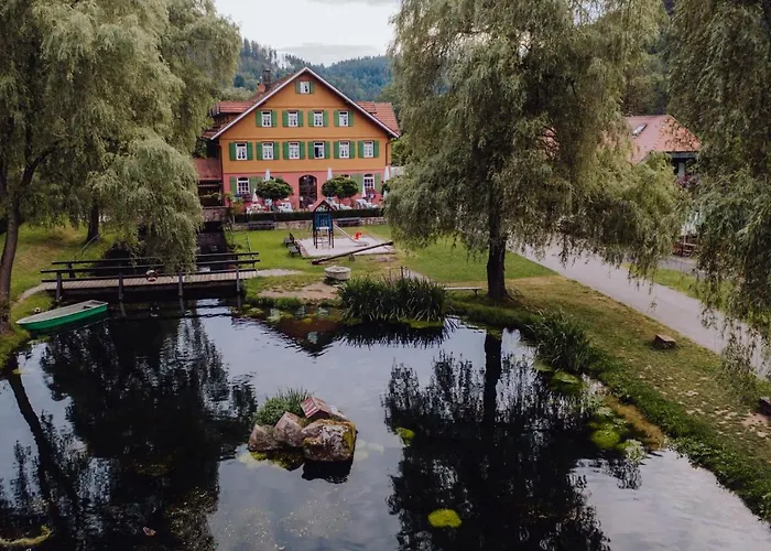 Zur Alten Muehle Hotel 4*